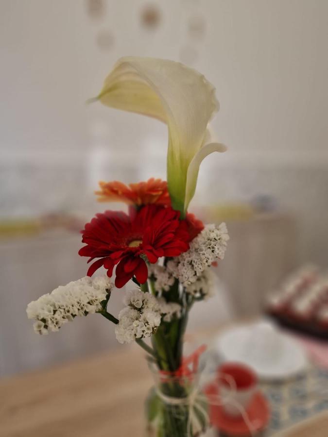 סורבו B&B Tre Sorelle מראה חיצוני תמונה